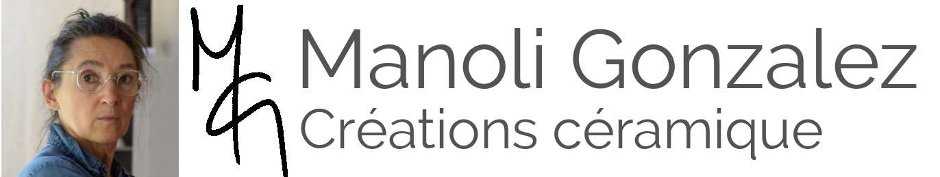 cropped-logo-site_mg (2) noir&gris&photo